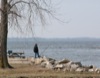 local picture