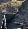 local picture