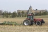 local picture