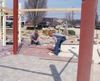 local picture