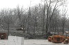 local picture