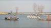 local picture