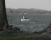 local picture