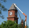 local picture