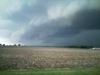 local picture
