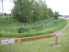 local picture