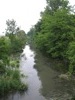 local picture