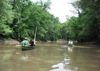 local picture