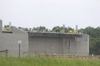 local picture