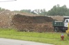 local picture