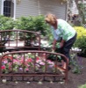 local picture