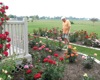 local picture