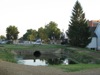 local picture