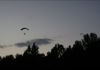 local picture
