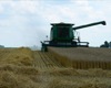 local picture