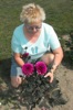 local picture