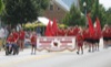local picture