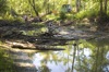 local picture