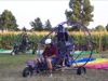 local picture