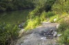 local picture
