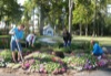 local picture