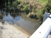 local picture