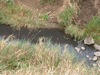 local picture