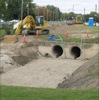 local picture