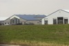 local picture
