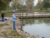 local picture