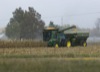 local picture