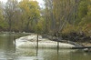 local picture
