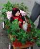 local picture