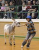 local picture