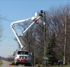local picture