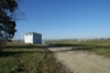local picture