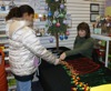 local picture