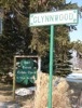 local picture