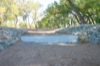 local picture