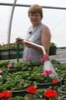 local picture