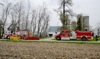 local picture
