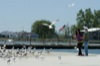 local picture
