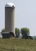 local picture