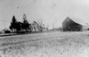 local picture