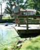 local picture