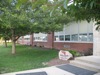 local picture