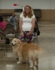 local picture