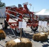 local picture
