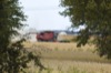 local picture