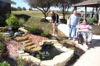 local picture